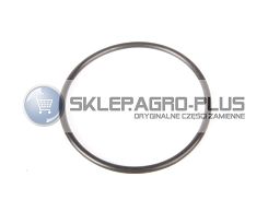 Pierścień uszczelniający łożyska dolnego  04343359