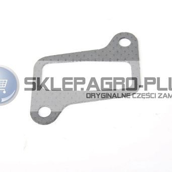 Uszczelka kolektora ssącego 0.017.7810.0